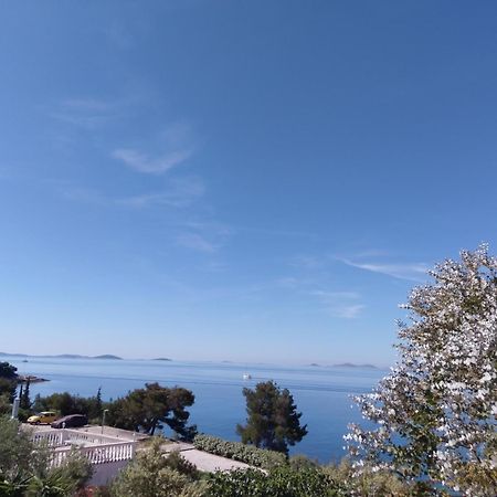 Amazing Villa Galeb In Murter Værelse billede